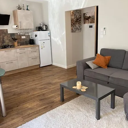 La Tranquillite En Centre-ville Avec Terrasse Holiday home