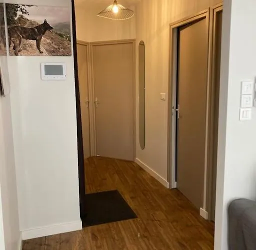 La Tranquillite En Centre-ville Avec Terrasse *